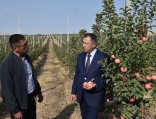 В Южном Казахстане активизируют перерабатывающий сектор