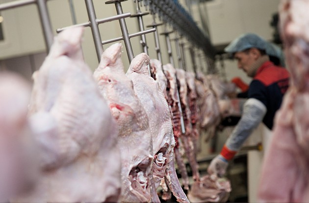 ЮКО экспортировала более 3 тысяч тонн мяса